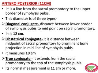 ANTERO POSTERIOR (11CM)
• it is a line from the sacral promontory to the upper
border of symphysis pubis.
• This diameter is of three types-
Diagonal conjugate- distance between lower border
of symphysis pubis to mid point on sacral promontory.
• it is 12 cm.
Obstetrical conjugate- it is distance between
midpoint of sacral promontory to prominent bony
projection in mid line of symphysis pubis.
• it measures 10 cm
True conjugate - it extends from the sacral
promontory to the top of the symphysis pubis.
• Its normal measurement is 11 cm or more.
 