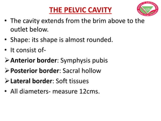 THE PELVIC CAVITY
• The cavity extends from the brim above to the
outlet below.
• Shape: its shape is almost rounded.
• It consist of-
Anterior border: Symphysis pubis
Posterior border: Sacral hollow
Lateral border: Soft tissues
• All diameters- measure 12cms.
 