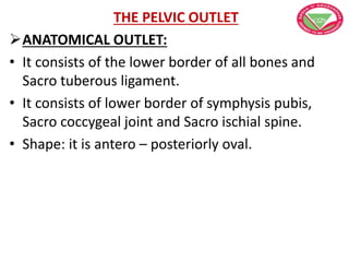THE PELVIC OUTLET
ANATOMICAL OUTLET:
• It consists of the lower border of all bones and
Sacro tuberous ligament.
• It consists of lower border of symphysis pubis,
Sacro coccygeal joint and Sacro ischial spine.
• Shape: it is antero – posteriorly oval.
 