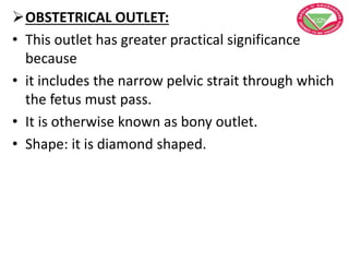 OBSTETRICAL OUTLET:
• This outlet has greater practical significance
because
• it includes the narrow pelvic strait through which
the fetus must pass.
• It is otherwise known as bony outlet.
• Shape: it is diamond shaped.
 