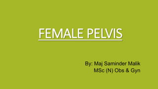 FEMALE PELVIS
By: Maj Saminder Malik
MSc (N) Obs & Gyn
 