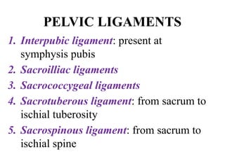 FEMALE PELVIS. Midwifery and obstetrical nursing.pptx
