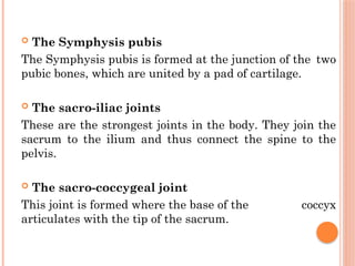 Symphysis Examples FEMALE PELVIS FOR B.SC NURSING STUDENT. | PPTX