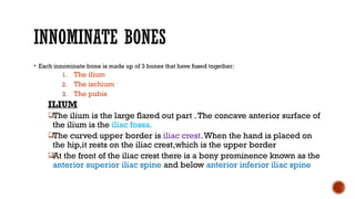 One Large Innotimate Object INTRODUCTION TO OBG - Female pelvis.pptx