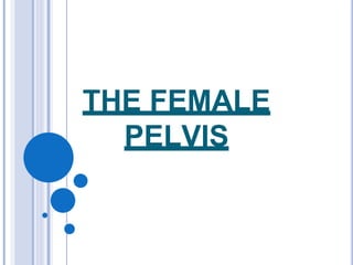 THE FEMALE
PELVIS
 