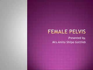 Presented by,
Mrs.Amita Shilpa Gottlieb

 