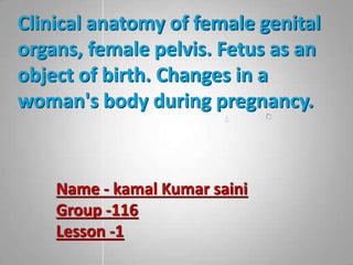 Clinical anatomy of female genital
organs, female pelvis. Fetus as an
object of birth. Changes in a
woman's body during pregnancy.
Name - kamal Kumar saini
Group -116
Lesson -1
 
