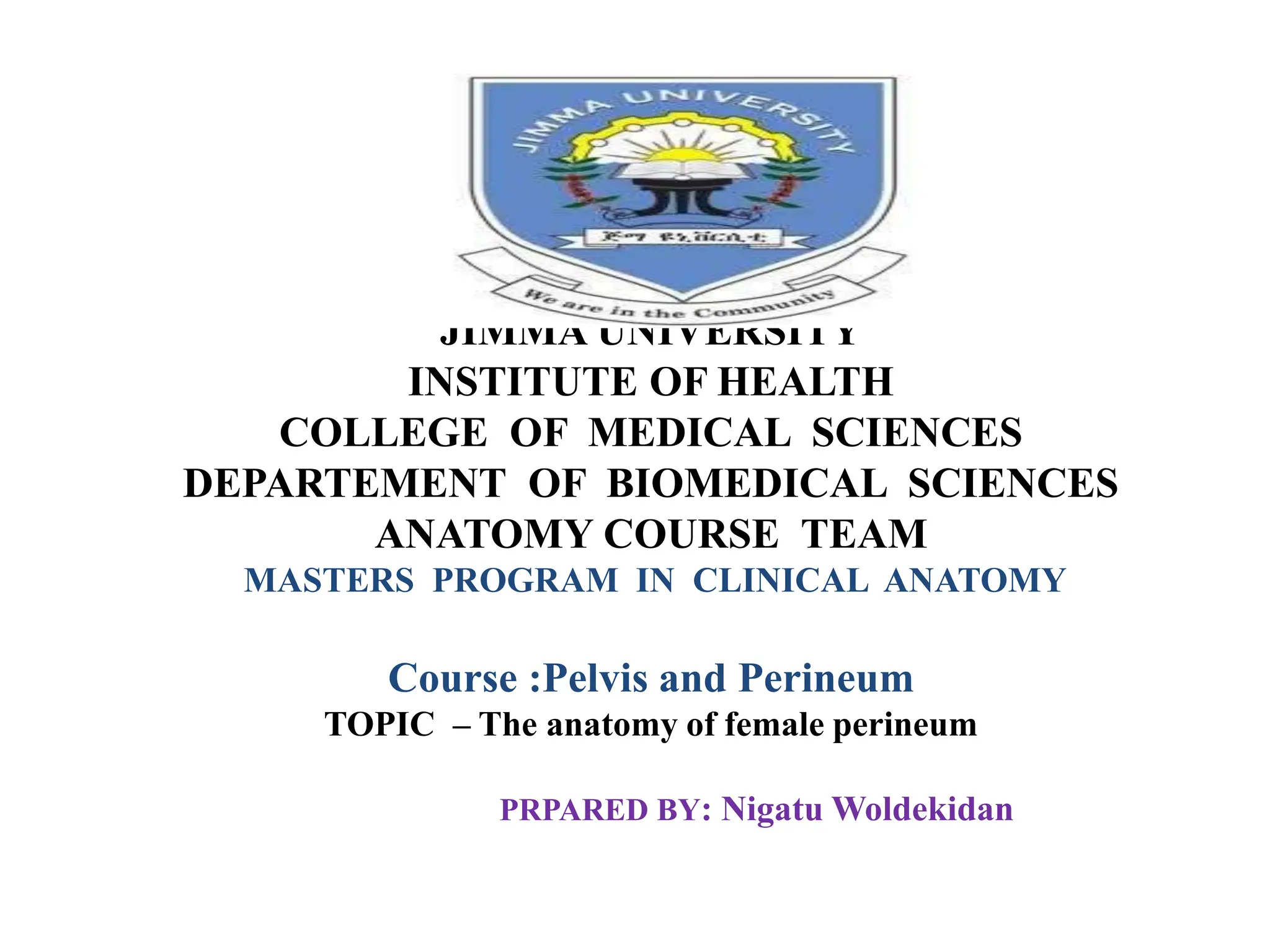 JIMMA UNIVERSITY
INSTITUTE OF HEALTH
COLLEGE OF MEDICAL SCIENCES
DEPARTEMENT OF BIOMEDICAL SCIENCES
ANATOMY COURSE TEAM
MASTERS PROGRAM IN CLINICAL ANATOMY
Course :Pelvis and Perineum
TOPIC – The anatomy of female perineum
PRPARED BY: Nigatu Woldekidan
 
