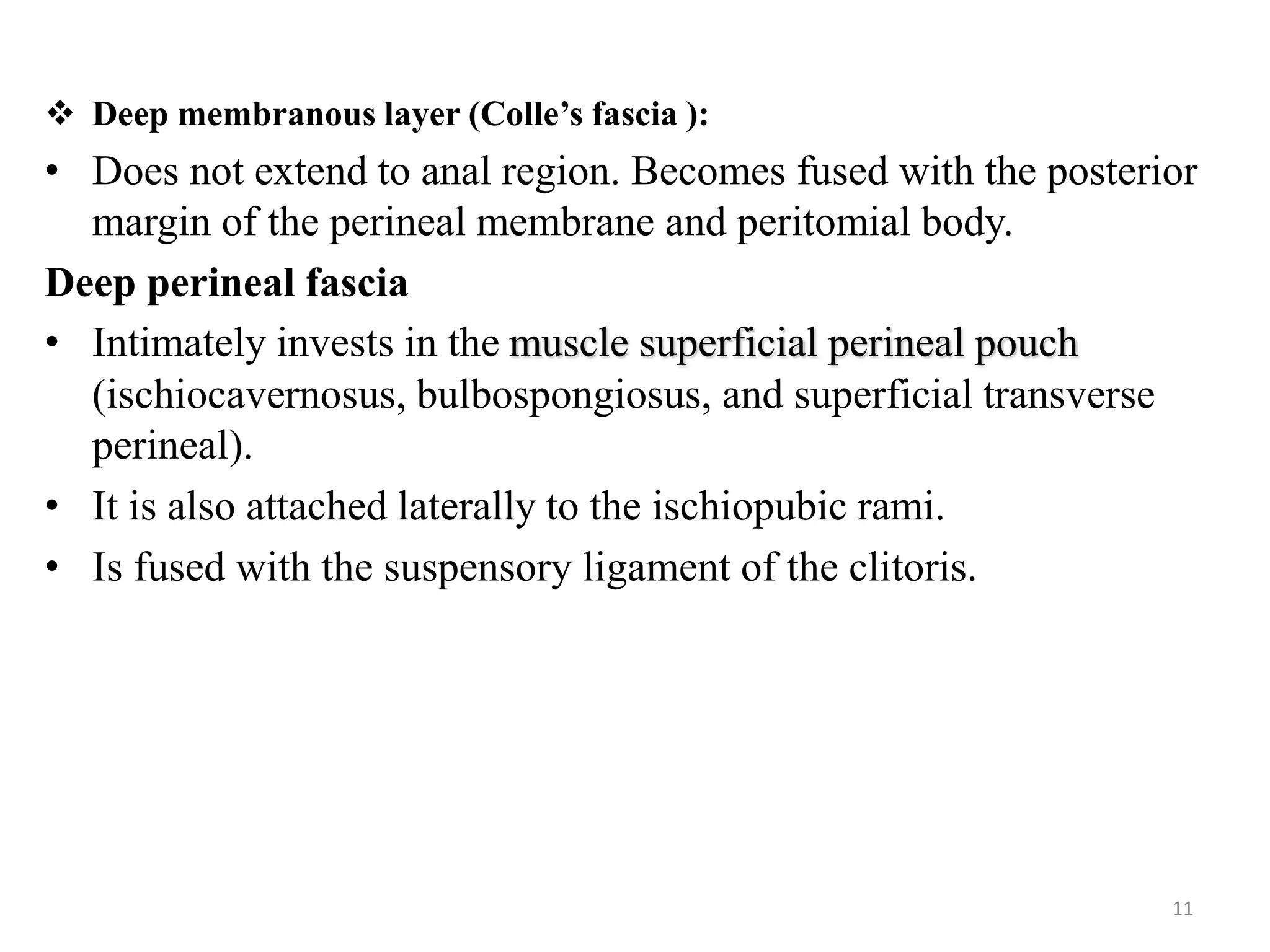  Deep membranous layer (Colle’s fascia ):
• Does not extend to anal region. Becomes fused with the posterior
margin of the perineal membrane and peritomial body.
Deep perineal fascia
• Intimately invests in the muscle superficial perineal pouch
(ischiocavernosus, bulbospongiosus, and superficial transverse
perineal).
• It is also attached laterally to the ischiopubic rami.
• Is fused with the suspensory ligament of the clitoris.
11
 