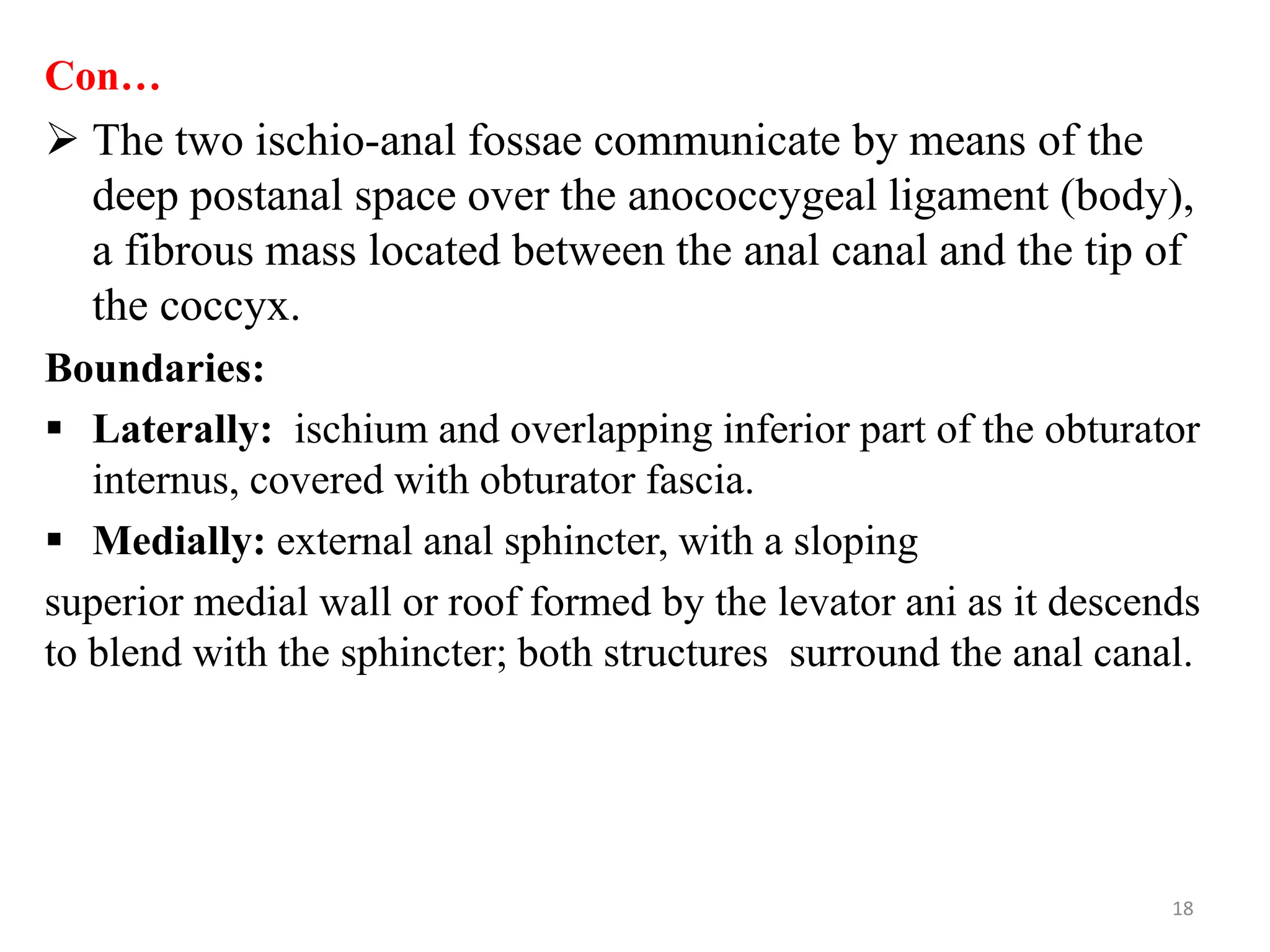 Con…
 The two ischio-anal fossae communicate by means of the
deep postanal space over the anococcygeal ligament (body),
a fibrous mass located between the anal canal and the tip of
the coccyx.
Boundaries:
 Laterally: ischium and overlapping inferior part of the obturator
internus, covered with obturator fascia.
 Medially: external anal sphincter, with a sloping
superior medial wall or roof formed by the levator ani as it descends
to blend with the sphincter; both structures surround the anal canal.
18
 