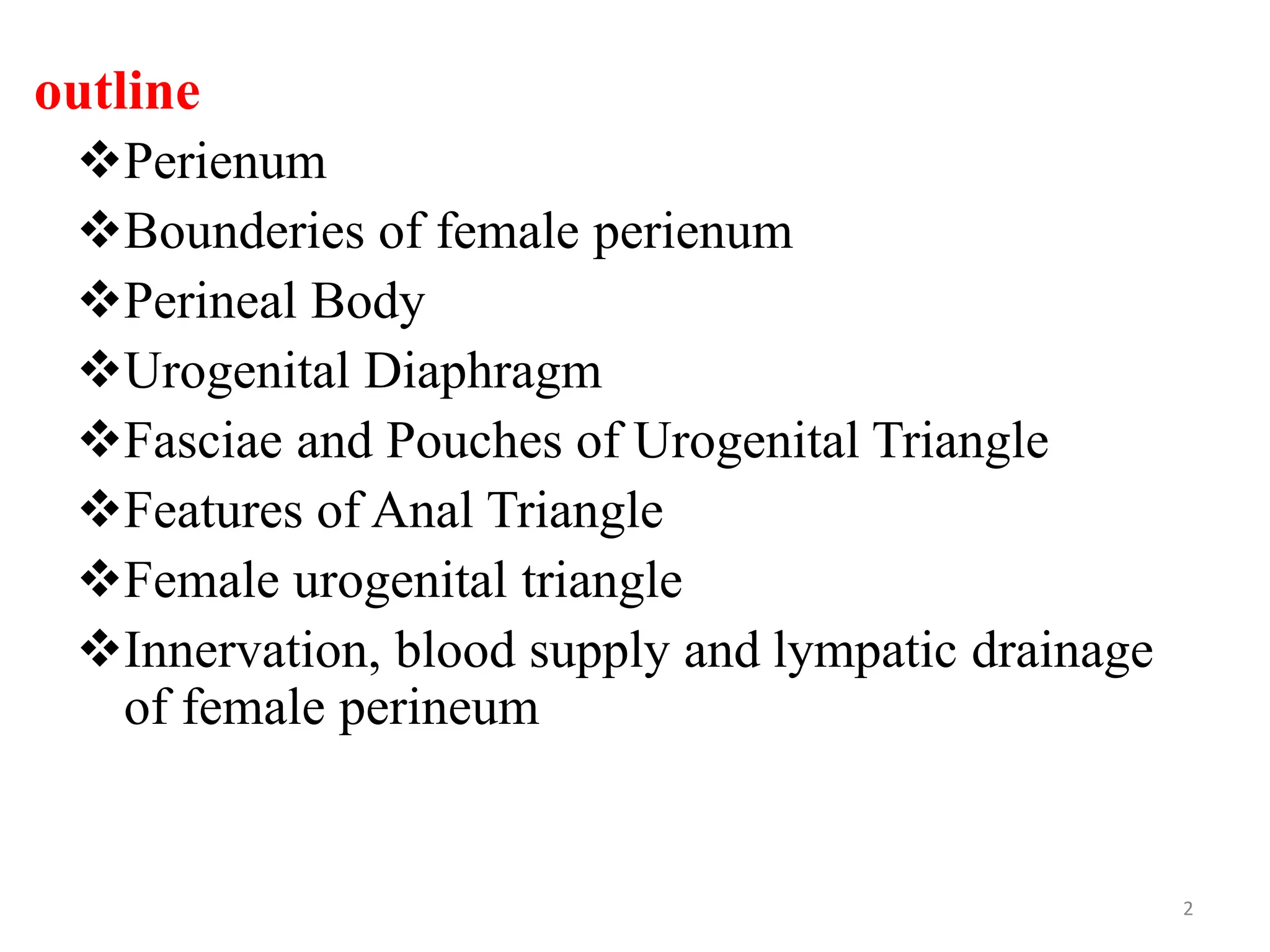 Unveiling The Female Perineum: A Complete Guide - 517e1qu