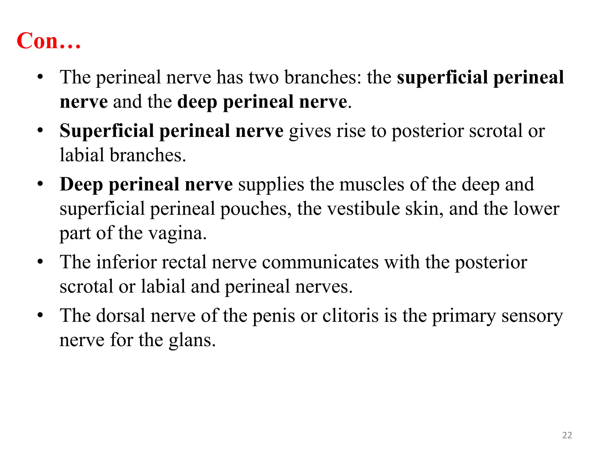 Con…
• The perineal nerve has two branches: the superficial perineal
nerve and the deep perineal nerve.
• Superficial perineal nerve gives rise to posterior scrotal or
labial branches.
• Deep perineal nerve supplies the muscles of the deep and
superficial perineal pouches, the vestibule skin, and the lower
part of the vagina.
• The inferior rectal nerve communicates with the posterior
scrotal or labial and perineal nerves.
• The dorsal nerve of the penis or clitoris is the primary sensory
nerve for the glans.
22
 