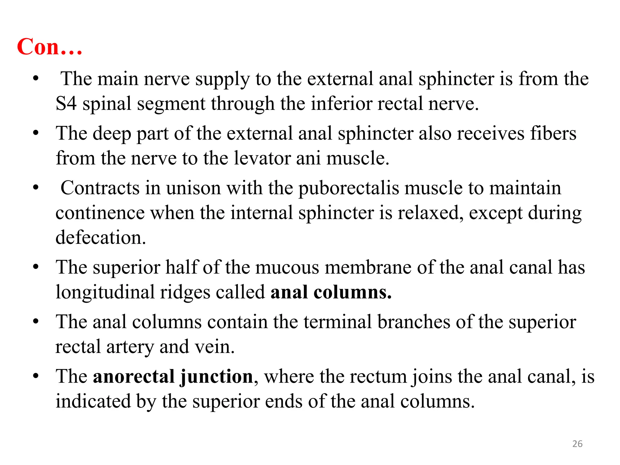 Con…
• The main nerve supply to the external anal sphincter is from the
S4 spinal segment through the inferior rectal nerve.
• The deep part of the external anal sphincter also receives fibers
from the nerve to the levator ani muscle.
• Contracts in unison with the puborectalis muscle to maintain
continence when the internal sphincter is relaxed, except during
defecation.
• The superior half of the mucous membrane of the anal canal has
longitudinal ridges called anal columns.
• The anal columns contain the terminal branches of the superior
rectal artery and vein.
• The anorectal junction, where the rectum joins the anal canal, is
indicated by the superior ends of the anal columns.
26
 
