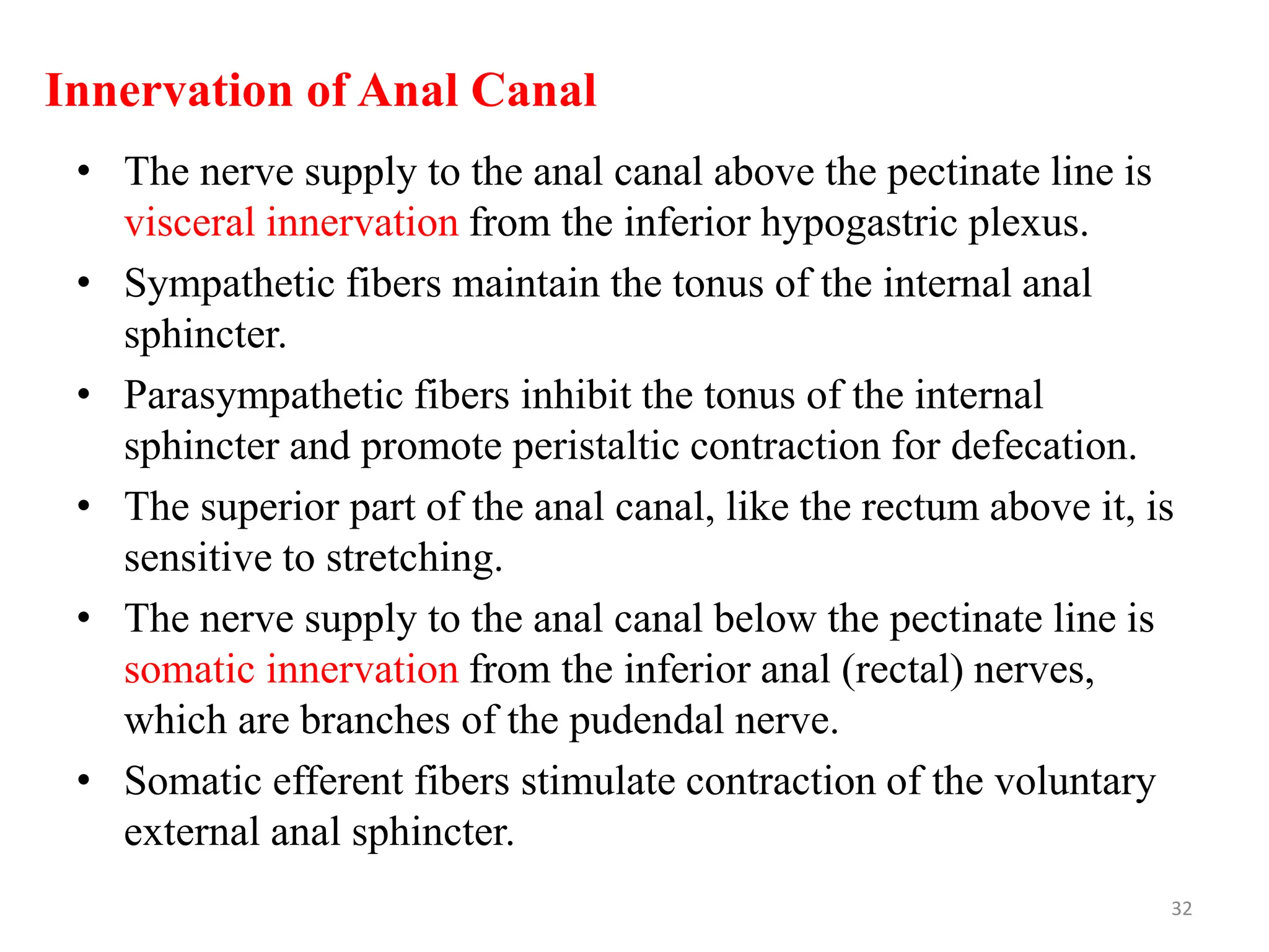 Innervation of Anal Canal
• The nerve supply to the anal canal above the pectinate line is
visceral innervation from the inferior hypogastric plexus.
• Sympathetic fibers maintain the tonus of the internal anal
sphincter.
• Parasympathetic fibers inhibit the tonus of the internal
sphincter and promote peristaltic contraction for defecation.
• The superior part of the anal canal, like the rectum above it, is
sensitive to stretching.
• The nerve supply to the anal canal below the pectinate line is
somatic innervation from the inferior anal (rectal) nerves,
which are branches of the pudendal nerve.
• Somatic efferent fibers stimulate contraction of the voluntary
external anal sphincter.
32
 