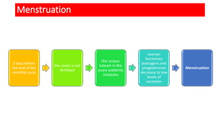 Menstruation
2 days before
the end of the
monthly cycle
the ovum is not
fertilized
the corpus
luteum in the
ovary suddenly
involutes
ovarian
hormones
(estrogens and
progesterone)
decrease to low
levels of
secretion
Menstruation
 