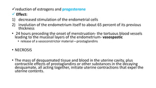 reduction of estrogens and progesterone
 Effect:
1) decreased stimulation of the endometrial cells
2) involution of the endometrium itself to about 65 percent of its previous
thickness
• 24 hours preceding the onset of menstruation- the tortuous blood vessels
leading to the mucosal layers of the endometrium- vasospastic
• release of a vasoconstrictor material—prostaglandins
• NECROSIS
• The mass of desquamated tissue and blood in the uterine cavity, plus
contractile effects of prostaglandins or other substances in the decaying
desquamate, all acting together, initiate uterine contractions that expel the
uterine contents.
 