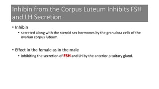 Inhibin from the Corpus Luteum Inhibits FSH
and LH Secretion
• Inhibin
• secreted along with the steroid sex hormones by the granulosa cells of the
ovarian corpus luteum.
• Effect in the female as in the male
• inhibiting the secretion of FSH and LH by the anterior pituitary gland.
 