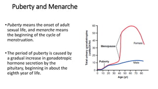 Puberty and Menarche
•Puberty means the onset of adult
sexual life, and menarche means
the beginning of the cycle of
menstruation.
•The period of puberty is caused by
a gradual increase in gonadotropic
hormone secretion by the
pituitary, beginning in about the
eighth year of life.
 