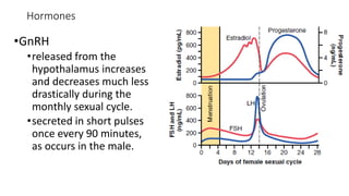 Hormones
•GnRH
•released from the
hypothalamus increases
and decreases much less
drastically during the
monthly sexual cycle.
•secreted in short pulses
once every 90 minutes,
as occurs in the male.
 