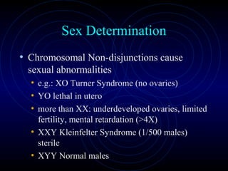 Female repproductive physiology | PPT