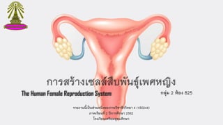 การสร้างเซลล์สืบพันธุ์เพศหญิง
The Human Female Reproduction System
รายงานนี้เป็นส่วนหนึ่งของรายวิชาชีววิทยา 4 (ว30244)
ภาคเรียนที่ 2 ปีการศึกษา 2562
โรงเรียนเตรียมอุดมศึกษา
กลุ่ม 2 ห้อง 825
 