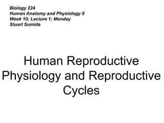 Biology 224
Human Anatomy and Physiology II
Week 10; Lecture 1; Monday
Stuart Sumida
Human Reproductive
Physiology and Reproductive
Cycles
 