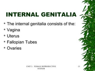UNIT 3: FEMALE REPRODUCTIVE
SYSTEM
13
INTERNAL GENITALIA
 The internal genitalia consists of the:
 Vagina
 Uterus
 Fallopian Tubes
 Ovaries
 