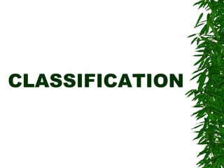 CLASSIFICATION
 