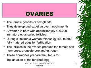UNIT 3: FEMALE REPRODUCTIVE
SYSTEM
24
OVARIES
 The female gonads or sex glands
 They develop and expel an ovum each month
 A woman is born with approximately 400,000
immature eggs called follicles
 During a lifetime a woman release @ 400 to 500
fully matured eggs for fertilization
 The follicles in the ovaries produce the female sex
hormones, progesterone and estrogen
 These hormones prepare the uterus for
implantation of the fertilized egg
 
