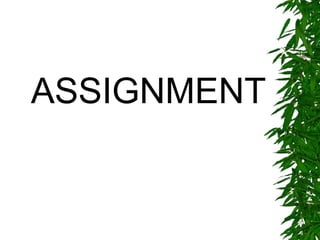 ASSIGNMENT
 