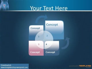 Female reproductive | PPT