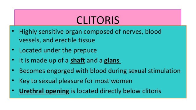Female reproductive anatomy (1)