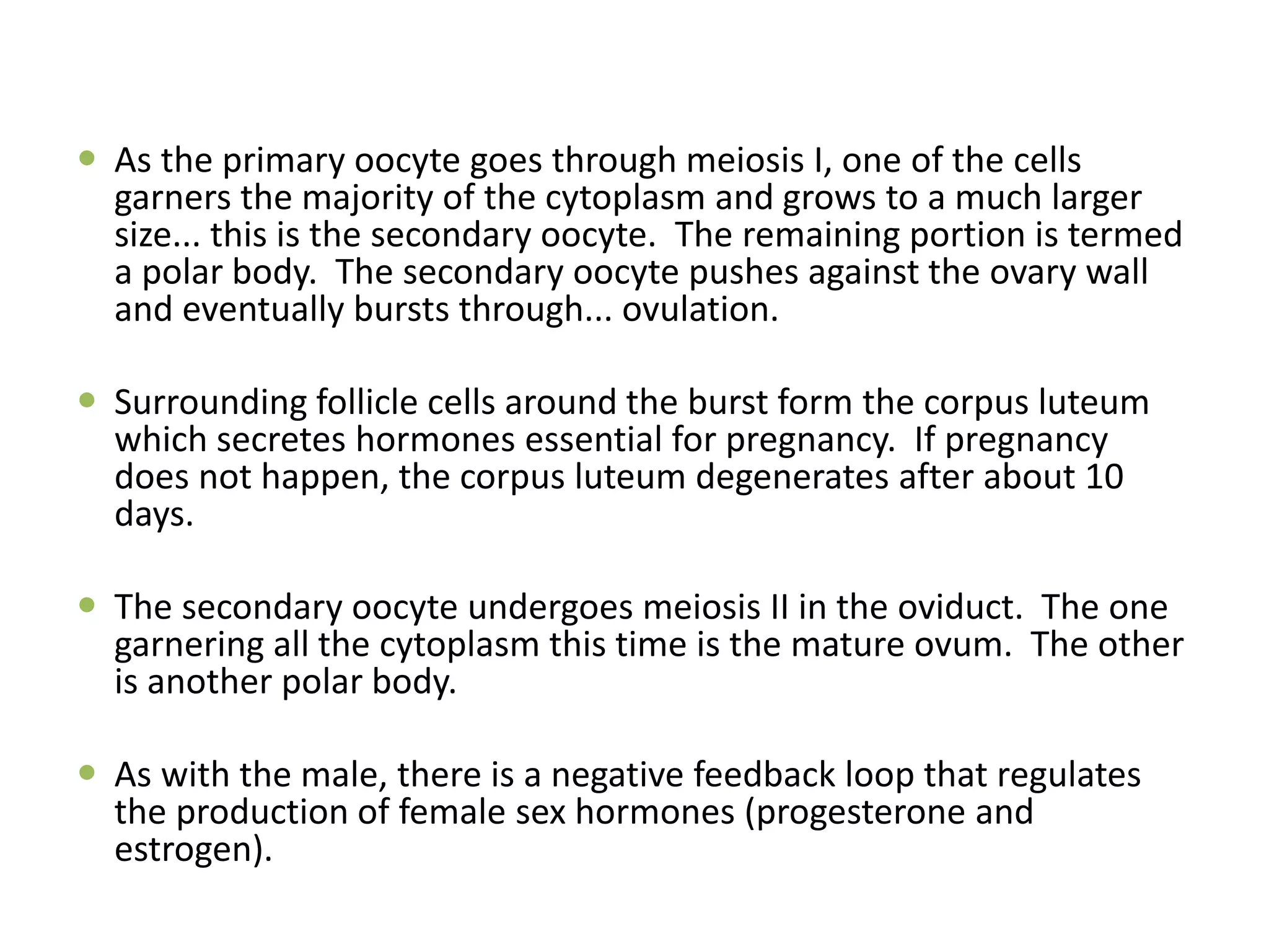  As the primary oocyte goes through meiosis I, one of the cells
garners the majority of the cytoplasm and grows to a much larger
size... this is the secondary oocyte. The remaining portion is termed
a polar body. The secondary oocyte pushes against the ovary wall
and eventually bursts through... ovulation.
 Surrounding follicle cells around the burst form the corpus luteum
which secretes hormones essential for pregnancy. If pregnancy
does not happen, the corpus luteum degenerates after about 10
days.
 The secondary oocyte undergoes meiosis II in the oviduct. The one
garnering all the cytoplasm this time is the mature ovum. The other
is another polar body.
 As with the male, there is a negative feedback loop that regulates
the production of female sex hormones (progesterone and
estrogen).
 