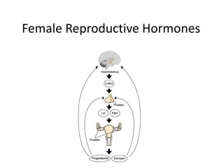 Female Reproductive Hormones
 