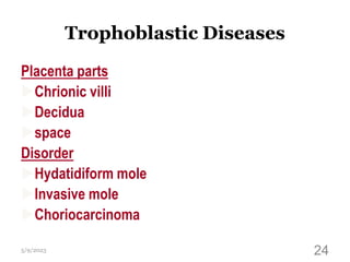 Trophoblastic Diseases
Placenta parts
Chrionic villi
Decidua
space
Disorder
Hydatidiform mole
Invasive mole
Choriocarcinoma
5/9/2023 24
 