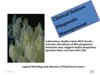5/9/2023 26
vaginal bleeding and absence of fetal heart tones.
Laboratory studies; beta-HCG levels –
extreme elevations of this pregnancy
hormone may suggest molar pregnancy
(greater than 100,000 mIU/ml)
 