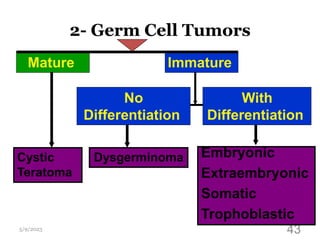 2- Germ Cell Tumors
5/9/2023 43
Mature Immature
Cystic
Teratoma
Embryonic
Extraembryonic
Somatic
Trophoblastic
Dysgerminoma
No
Differentiation
With
Differentiation
 
