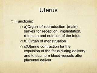 Uterus
Functions:
a)Organ of reproduction (main) –
serves for reception, implantation,
retention and nutrition of the fetu...