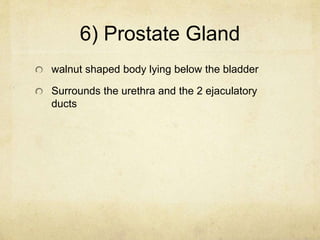 Anatomy and Physiology of the Male and Female Reproductive System | PPTX