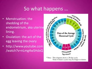 So what happens …
• Menstruation: the
  shedding of the
  endometrium, aka uterine
  lining.
• Ovulation: the act of the
  egg leaving the ovary
• http://www.youtube.com
  /watch?v=nLmg4wSHdxQ
 