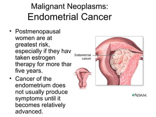 Malignant Neoplasms:
      Endometrial Cancer
• Postmenopausal
  women are at
  greatest risk,
  especially if they have
  taken estrogen
  therapy for more than
  five years.
• Cancer of the
  endometrium does
  not usually produce
  symptoms until it
  becomes relatively
  advanced.
 