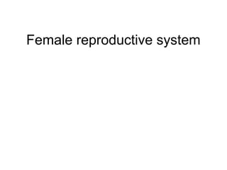 Female reproductive system
 