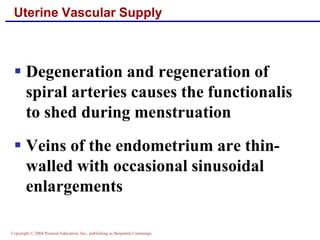 Copyright © 2004 Pearson Education, Inc., publishing as Benjamin Cummings
Uterine Vascular Supply
▪ Degeneration and regeneration of
spiral arteries causes the functionalis
to shed during menstruation
▪ Veins of the endometrium are thin-
walled with occasional sinusoidal
enlargements
 