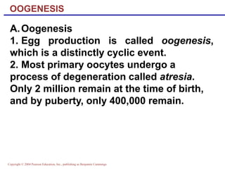 Copyright © 2004 Pearson Education, Inc., publishing as Benjamin Cummings
A.Oogenesis
1. Egg production is called oogenesis,
which is a distinctly cyclic event.
2. Most primary oocytes undergo a
process of degeneration called atresia.
Only 2 million remain at the time of birth,
and by puberty, only 400,000 remain.
OOGENESIS
 