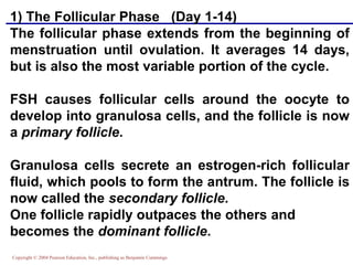 Copyright © 2004 Pearson Education, Inc., publishing as Benjamin Cummings
1) The Follicular Phase (Day 1-14)
The follicular phase extends from the beginning of
menstruation until ovulation. It averages 14 days,
but is also the most variable portion of the cycle.
FSH causes follicular cells around the oocyte to
develop into granulosa cells, and the follicle is now
a primary follicle.
Granulosa cells secrete an estrogen-rich follicular
fluid, which pools to form the antrum. The follicle is
now called the secondary follicle.
One follicle rapidly outpaces the others and
becomes the dominant follicle.
 