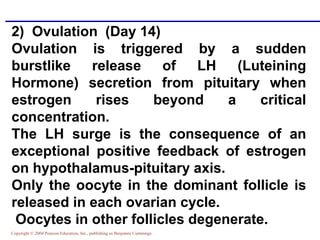 Copyright © 2004 Pearson Education, Inc., publishing as Benjamin Cummings
2) Ovulation (Day 14)
Ovulation is triggered by a sudden
burstlike release of LH (Luteining
Hormone) secretion from pituitary when
estrogen rises beyond a critical
concentration.
The LH surge is the consequence of an
exceptional positive feedback of estrogen
on hypothalamus-pituitary axis.
Only the oocyte in the dominant follicle is
released in each ovarian cycle.
Oocytes in other follicles degenerate.
 