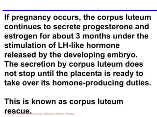 Copyright © 2004 Pearson Education, Inc., publishing as Benjamin Cummings
If pregnancy occurs, the corpus luteum
continues to secrete progesterone and
estrogen for about 3 months under the
stimulation of LH-like hormone
released by the developing embryo.
The secretion by corpus luteum does
not stop until the placenta is ready to
take over its homone-producing duties.
This is known as corpus luteum
rescue.
 