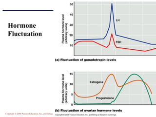 Copyright © 2004 Pearson Education, Inc., publishing as Benjamin Cummings
Hormone
Fluctuation
 