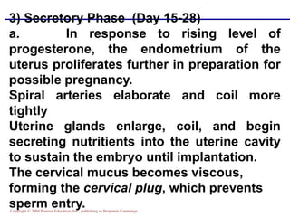 Copyright © 2004 Pearson Education, Inc., publishing as Benjamin Cummings
3) Secretory Phase (Day 15-28)
a. In response to rising level of
progesterone, the endometrium of the
uterus proliferates further in preparation for
possible pregnancy.
Spiral arteries elaborate and coil more
tightly
Uterine glands enlarge, coil, and begin
secreting nutritients into the uterine cavity
to sustain the embryo until implantation.
The cervical mucus becomes viscous,
forming the cervical plug, which prevents
sperm entry.
 
