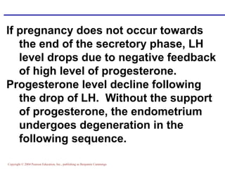Copyright © 2004 Pearson Education, Inc., publishing as Benjamin Cummings
If pregnancy does not occur towards
the end of the secretory phase, LH
level drops due to negative feedback
of high level of progesterone.
Progesterone level decline following
the drop of LH. Without the support
of progesterone, the endometrium
undergoes degeneration in the
following sequence.
 